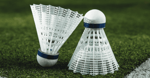 Amelia Estates Zirakpur Badminton