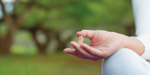 Amelia Estates Zirakpur Yoga Lawn